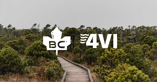 A scenic wooden boardwalk winds through lush green vegetation in a natural setting, with the logos of BC (British Columbia) and 4VI prominently displayed in the foreground. The sky is overcast, creating a serene and tranquil atmosphere.