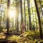 Two hikers with backpacks walk along a forest trail beneath tall evergreen trees