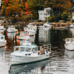 A harbor with white and black boats.