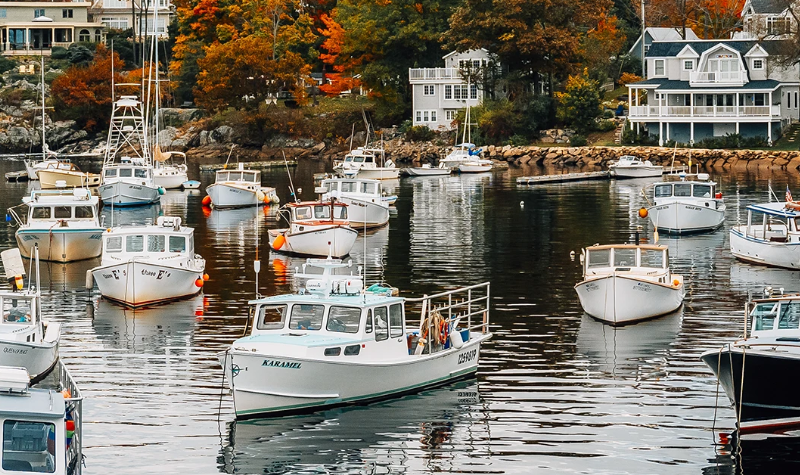 A harbor with white and black boats.