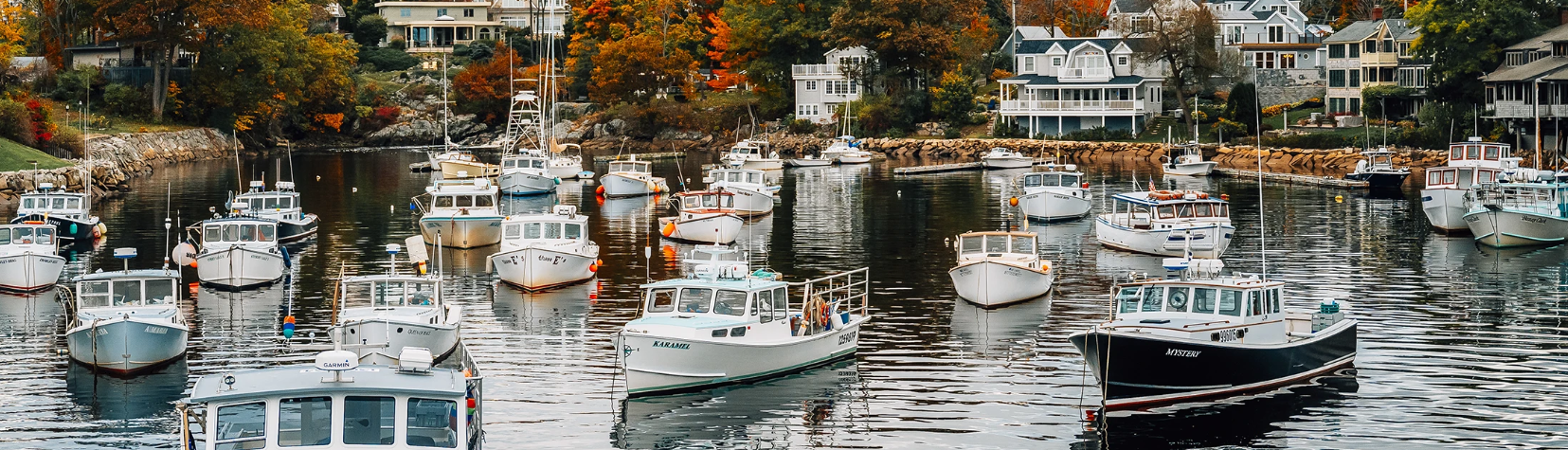 A harbor with white and black boats.